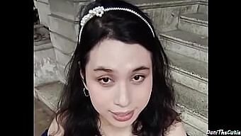 美丽的褐发人妖danithecutie在公共厕所里露出她的奶子和屁股。